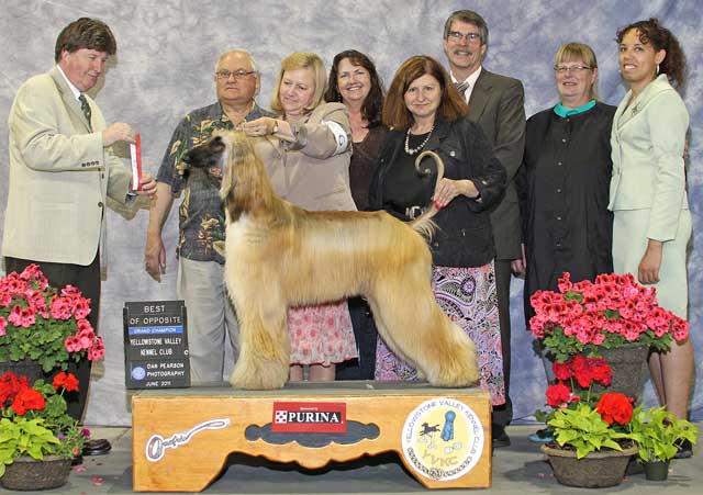 2011-June-Billings-(3)-Kleo.jpg