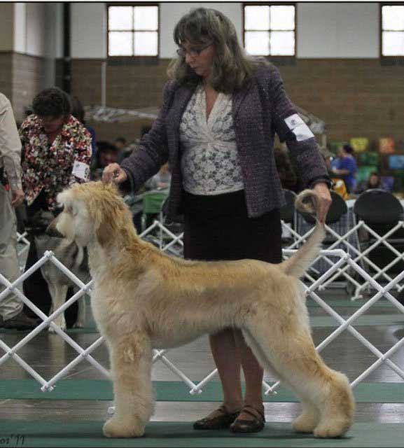Butterball-in-Seattle-3-13-.jpg