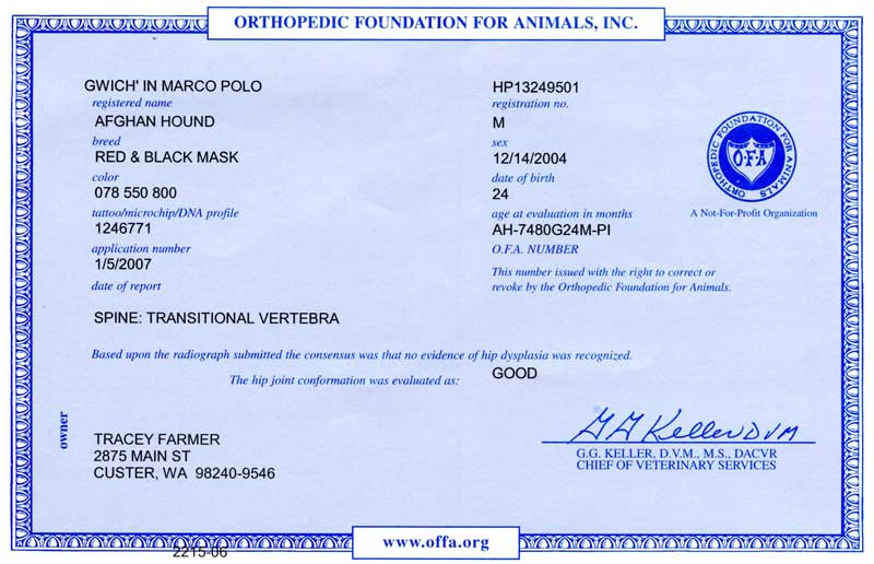 Marco-OFA12-06.jpg