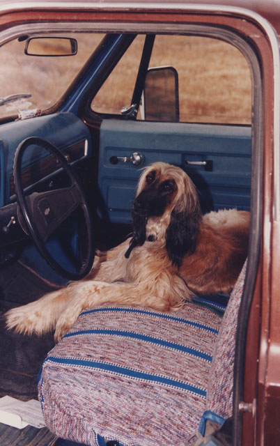 Sasha-in-Pickup-Seat-64x.jpg