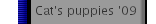 Cat's puppies '09