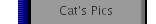 Cat's Pics