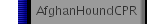 AfghanHoundCPR