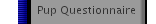 Pup Questionnaire