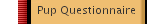 Pup Questionnaire