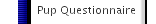 Pup Questionnaire