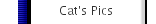 Cat's Pics