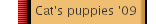 Cat's puppies '09